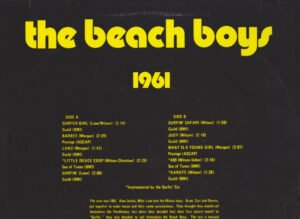 The Beach Boys Pop Compilation SEALED NOS