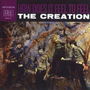 HOW DOES IT FEEL TO FEEL? (180G/YELLOW VINYL) LP