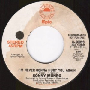 I’m Never Gonna Hurt You Again Funk / Sou 45 RPM