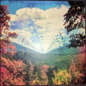 INNERSPEAKER (10TH ANNIVERSARY EDITION/4LP/DELUXE LP