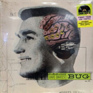 BUG (RSD)