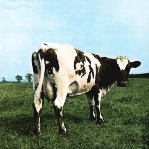 ATOM HEART MOTHER (180G/GATEFOLD/2016 VERSION) LP