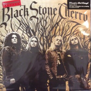 Black Stone Cherry ROCK