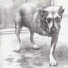 ALICE IN CHAINS CD